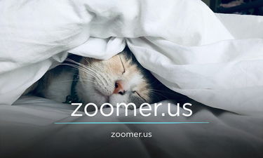 Zoomer.us