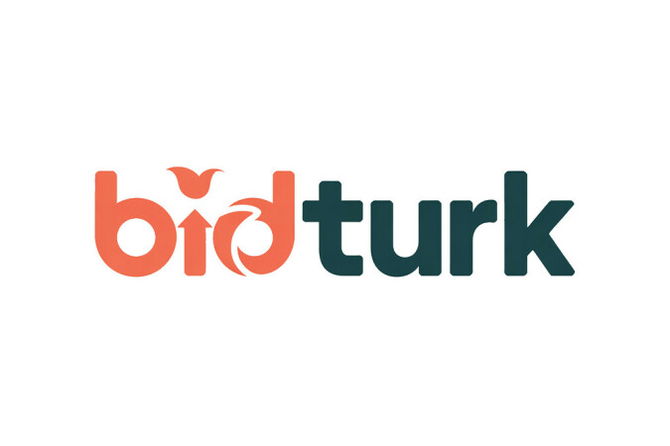 BidTurk.com