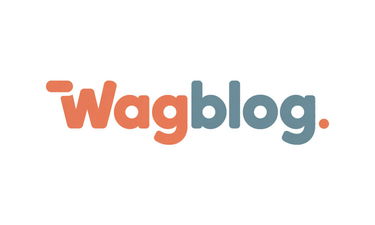 WagBlog.com - buy Cool premium names
