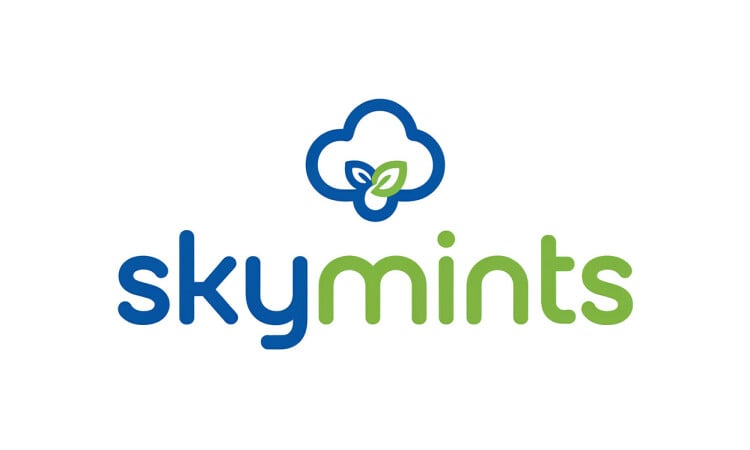 SkyMints logo