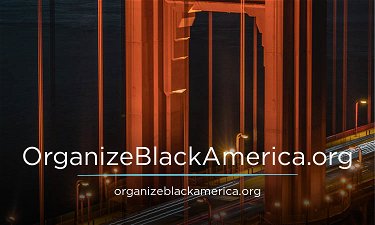 OrganizeBlackAmerica.org - Creative brandable domain for sale