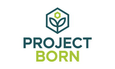 ProjectBorn.com - Creative brandable domain for sale