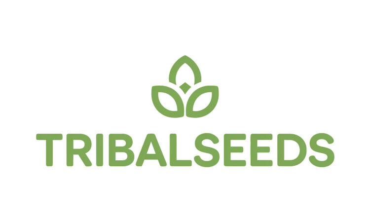 TribalSeeds logo