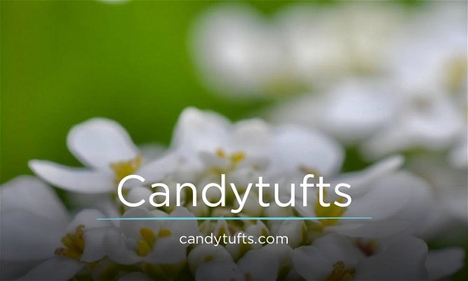 Candytufts.com