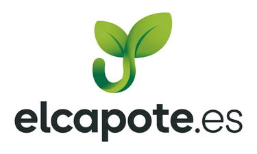 Elcapote.es - Creative brandable domain for sale