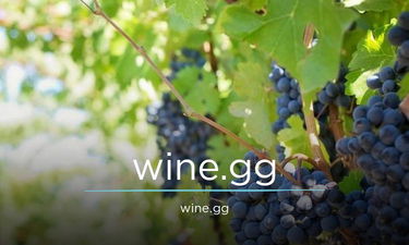 Wine.gg - Creative brandable domain for sale