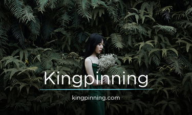 Kingpinning.com - Creative brandable domain for sale