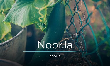 Noor.la - Creative brandable domain for sale