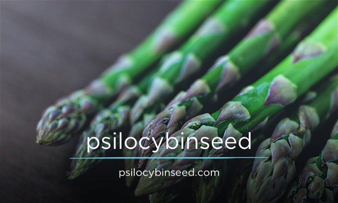 PsilocybinSeed.com