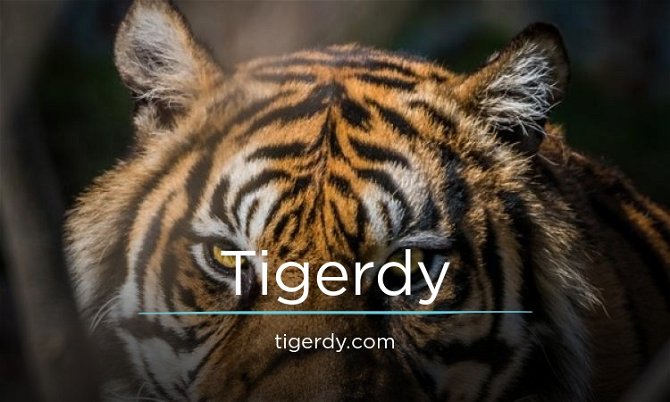 Tigerdy.com