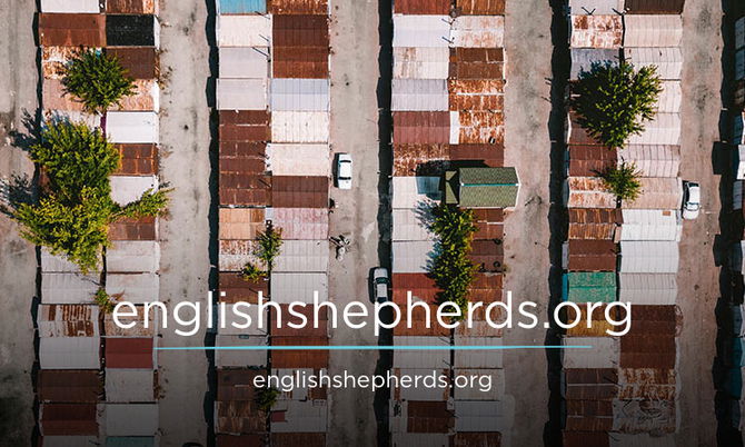 englishshepherds.org