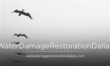 WaterDamageRestorationDallas.com Logo