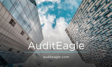 AuditEagle.com - buy Great premium domains
