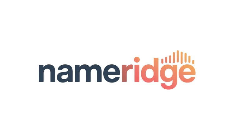 NameRidge logo