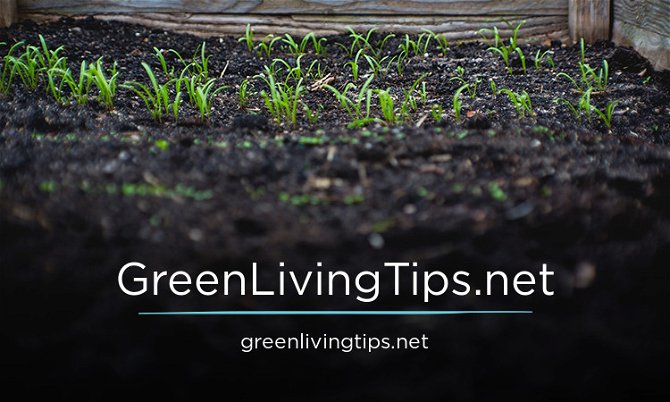 GreenLivingTips.net