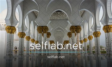 SelfLab.net - Creative brandable domain for sale