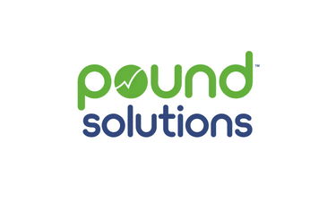 PoundSolutions.com - Creative brandable domain for sale
