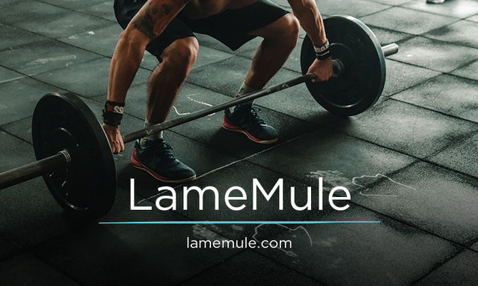 LameMule.com