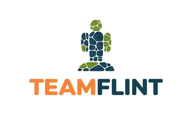 TeamFlint.com