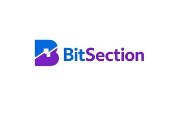 BitSection logo
