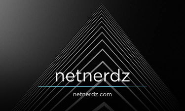 netnerdz.com - Creative brandable domain for sale
