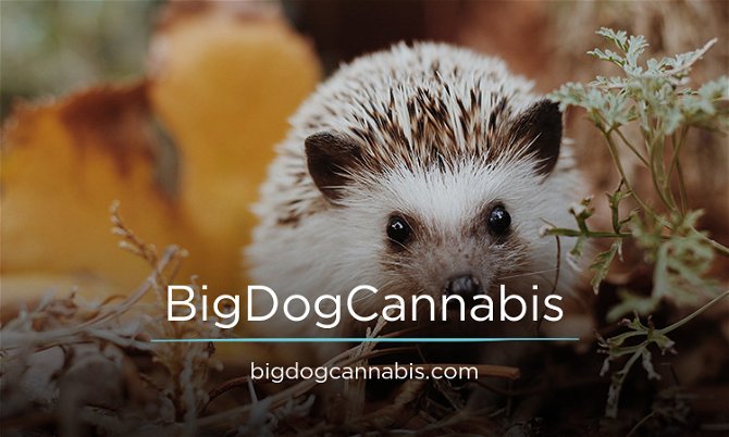 BigDogCannabis.com