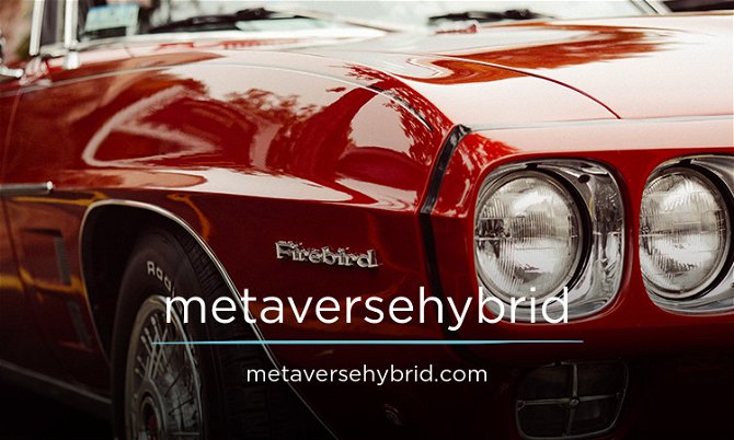 MetaverseHybrid.com