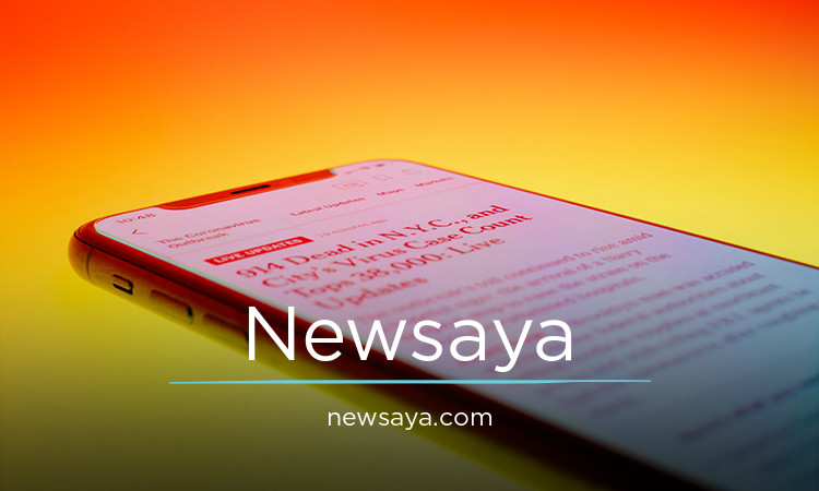 Newsaya logo