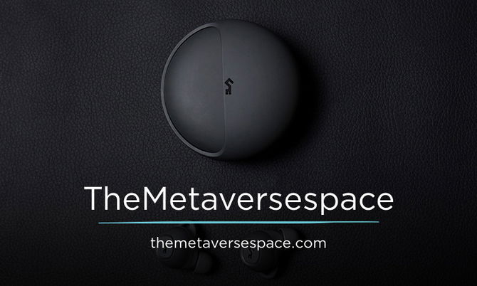 TheMetaverseSpace.com