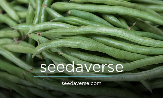 SeedaVerse.com