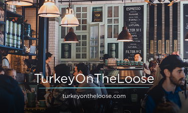 TurkeyOnTheLoose.com - Creative brandable domain for sale