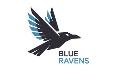 BlueRavens.com - Creative brandable domain for sale