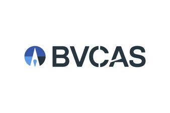 BVCas.com - Creative brandable domain for sale