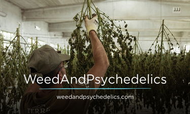 WeedAndPsychedelics.com - Creative brandable domain for sale