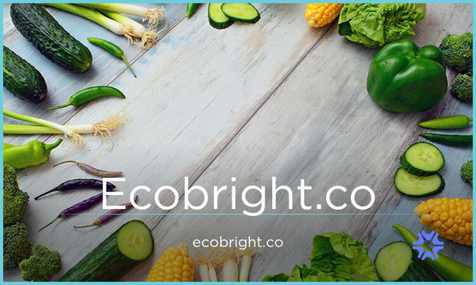 Ecobright.co