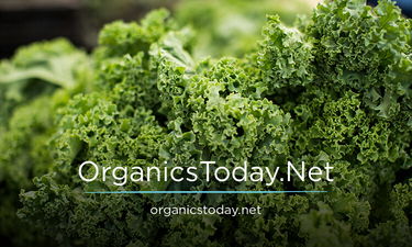 OrganicsToday.Net - Creative brandable domain for sale