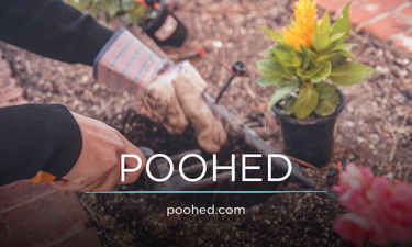 POOHED.com - Creative brandable domain for sale