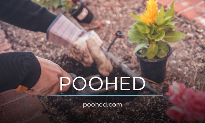 POOHED.com