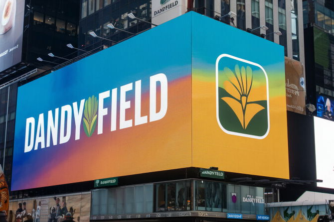 DandyField.com