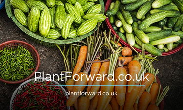PlantForward.co.uk - Creative brandable domain for sale