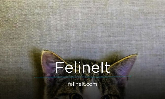 FelineIt.com