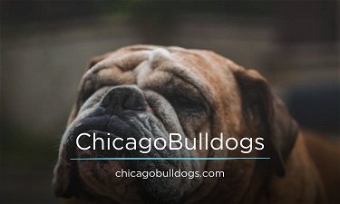 ChicagoBulldogs.com