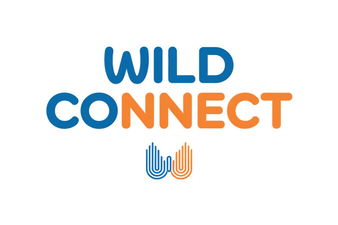 WildConnect.com - Creative brandable domain for sale