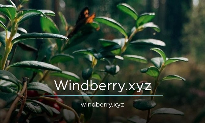 Windberry.xyz