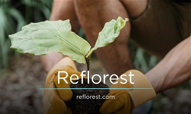 Reflorest.com