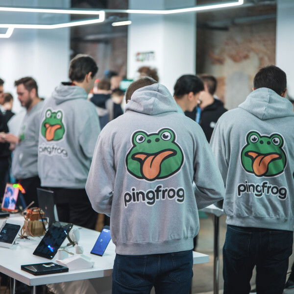 PingFrog.com