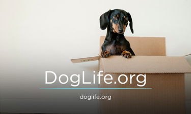 DogLife.org - Creative brandable domain for sale
