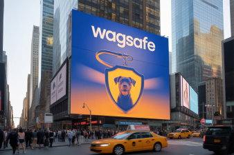 WagSafe.com - Catchy premium names