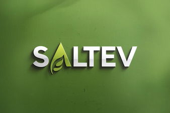 Saltev.com - Creative brandable domain for sale