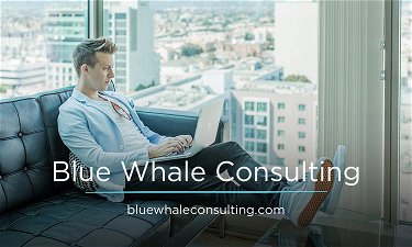 BlueWhaleConsulting.com